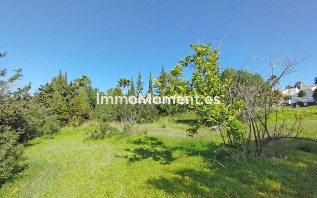 Reventa - Terreno - Estepona  - Bel Air