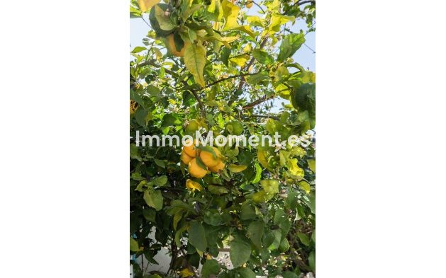 Reventa - Villa - Fuengirola - Torreblanca