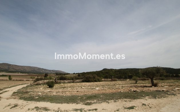 Revente - Maison de campagne - Monóvar - Monòver - Monóvar - Monòver Centro