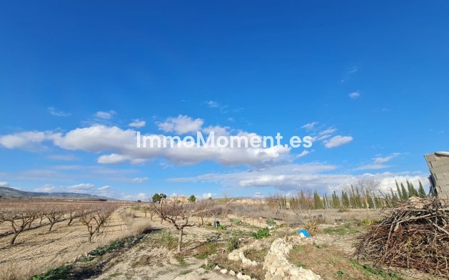 Revente - Maison de campagne - Pinoso - Pinoso Centro