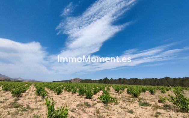 Reventa - Casa de campo - Yecla - Yecla Centro