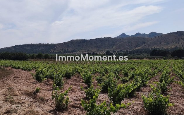 Reventa - Casa de campo - Yecla - Yecla Centro