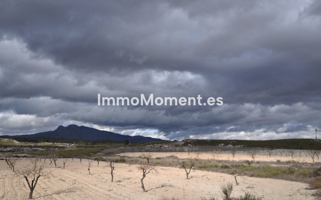Revente - Maison de campagne - Jumilla - Jumilla Centro