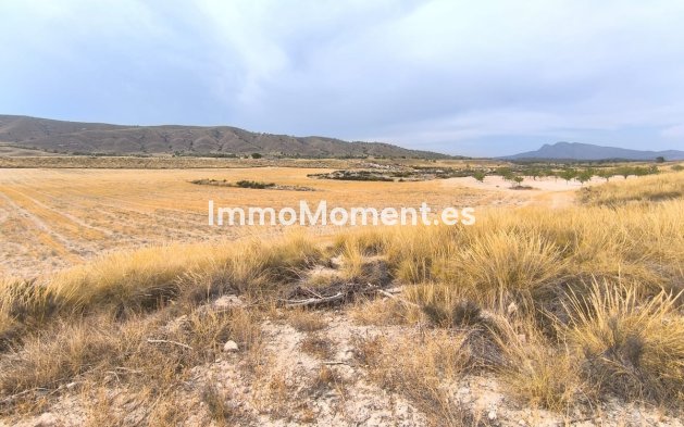 Revente - Maison de campagne - Jumilla - Jumilla Centro