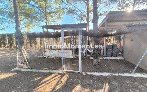 Revente - Villa - Yecla - Yecla Centro