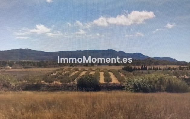 Wiederverkauf - Landhaus - Lorca - Lorca Centro