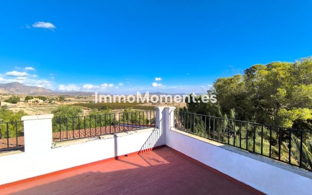 Wiederverkauf - Villa - Novelda - Novelda Centro