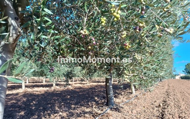 Wiederverkauf - Villa - Yecla - Yecla Centro