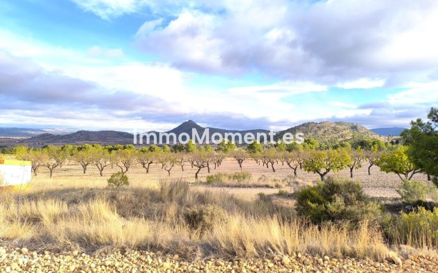 Reventa - Casa de campo - Yecla - Yecla Centro