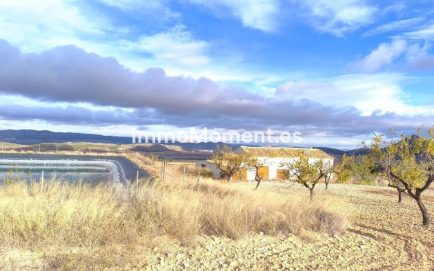 Reventa - Casa de campo - Yecla - Yecla Centro