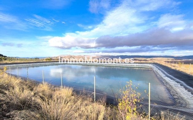 Reventa - Casa de campo - Yecla - Yecla Centro