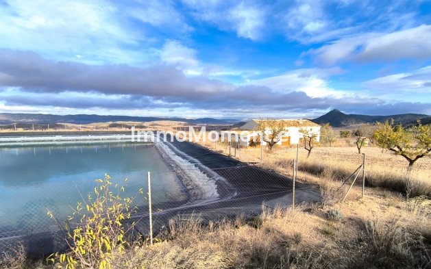 Reventa - Casa de campo - Yecla - Yecla Centro