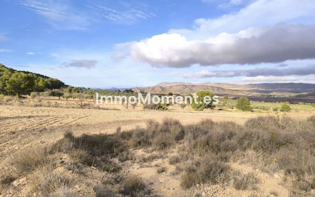 Reventa - Casa de campo - Yecla - Yecla Centro