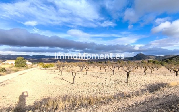 Reventa - Casa de campo - Yecla - Yecla Centro