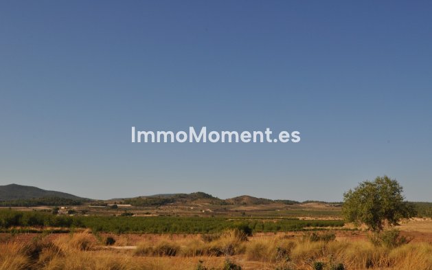 Revente - Maison de campagne - Pinoso - Pinoso Centro