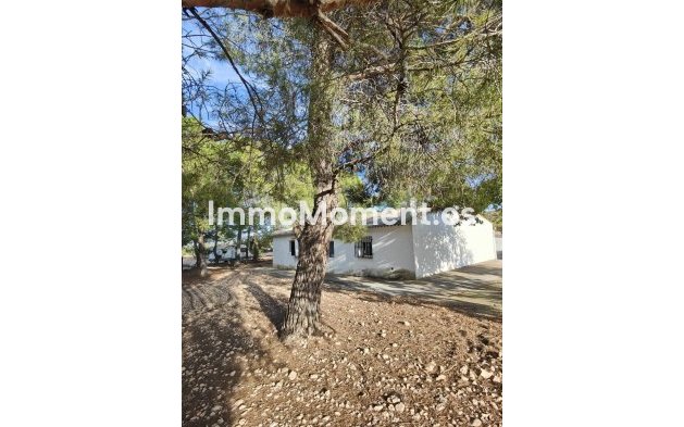 Wiederverkauf - Landhaus - Yecla - Yecla Centro