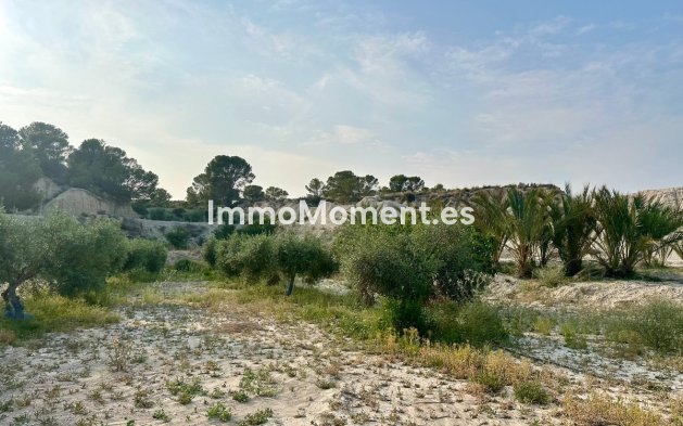 Wiederverkauf - Landhaus - Abanilla - Abanilla Centro