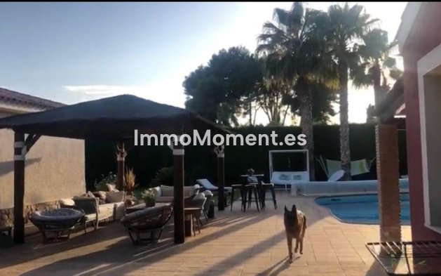 Resale - Villa - Elda - Elda Centro