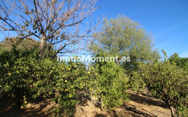 Wiederverkauf - Villa -   Inländisch - Alora