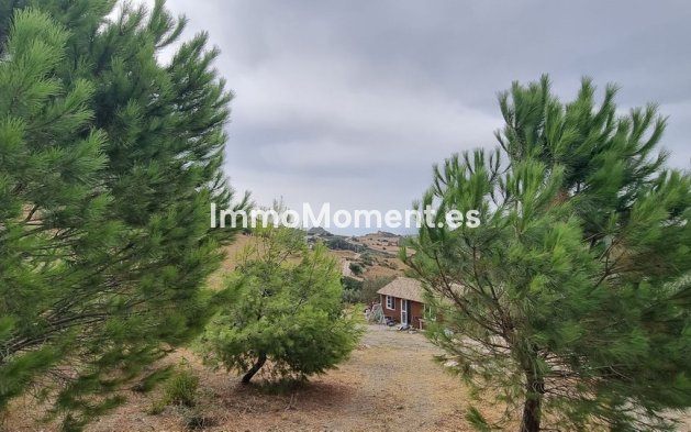 Wiederverkauf - Landhaus - Casares - Casares Centro