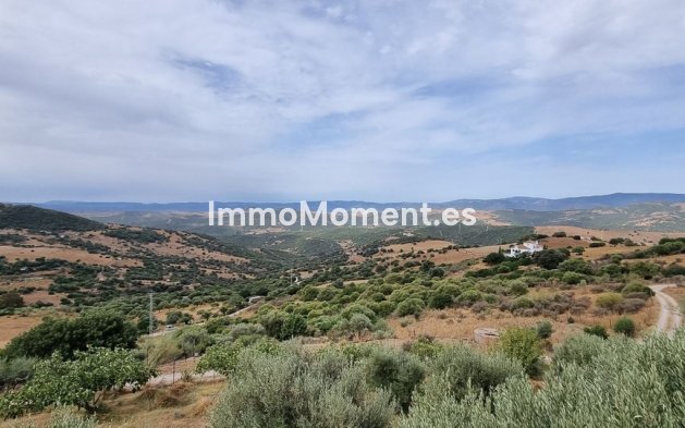 Wiederverkauf - Landhaus - Casares - Casares Centro