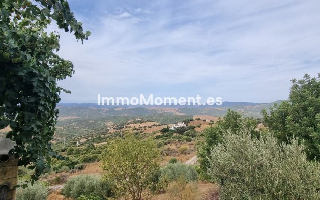 Wiederverkauf - Landhaus - Casares - Casares Centro