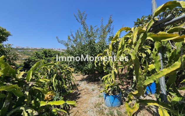 Revente - Villa - Casares - Casares Centro