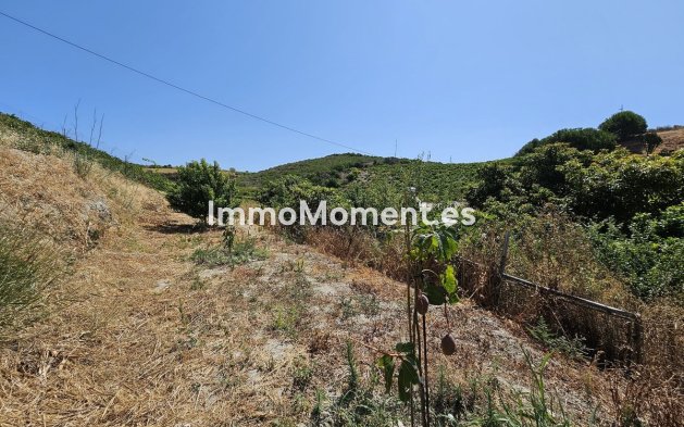 Revente - Villa - Casares - Casares Centro