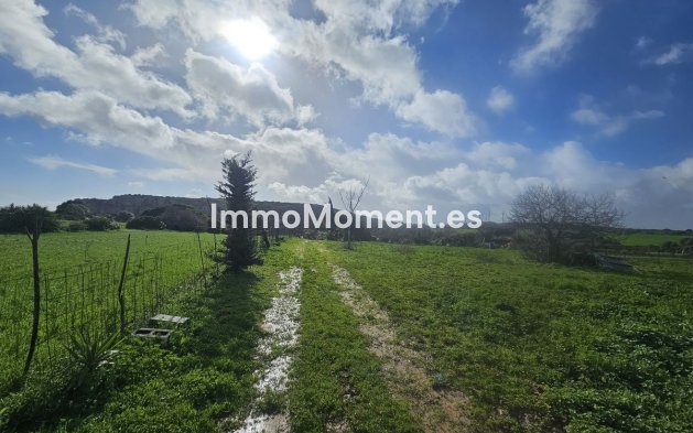 Revente - Villa - Casares - Casares Centro