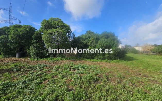 Revente - Villa - Casares - Casares Centro