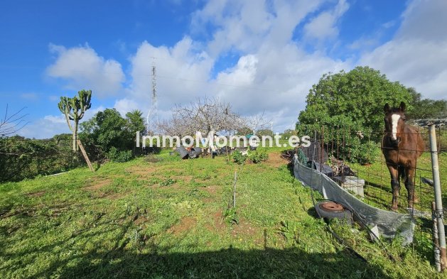 Revente - Villa - Casares - Casares Centro