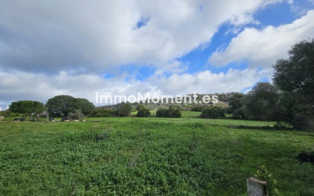 Revente - Villa - Casares - Casares Centro