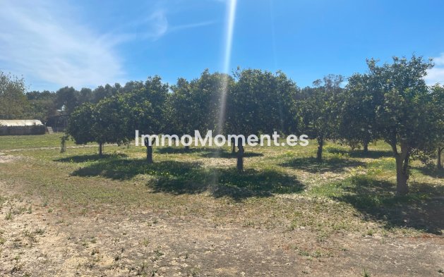 Resale - Villa - Guardamar del Segura - Guardamar del Segura Centro