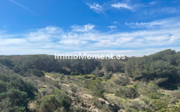 Resale - Villa - Guardamar del Segura - Guardamar del Segura Centro