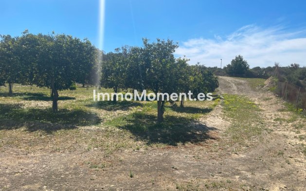 Resale - Villa - Guardamar del Segura - Guardamar del Segura Centro