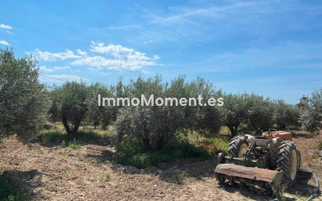 Bestaande woning - Villa - Crevillente - Crevillente - Crevillent Centro