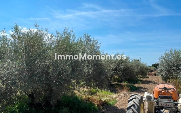 Bestaande woning - Villa - Crevillente - Crevillente - Crevillent Centro