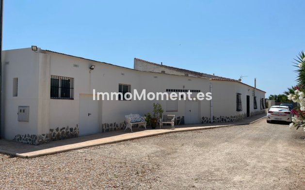 Revente - Villa - Daya Nueva - Daya Nueva Centro