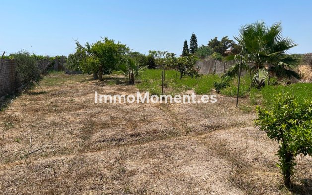 Revente - Villa - Daya Nueva - Daya Nueva Centro