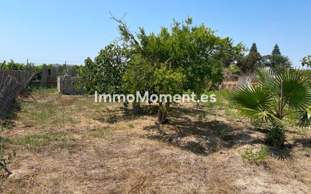 Revente - Villa - Daya Nueva - Daya Nueva Centro