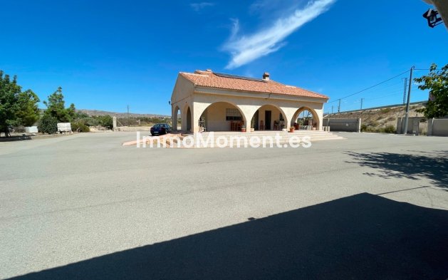 Reventa - Villa - Crevillente - Crevillente - Crevillent Centro