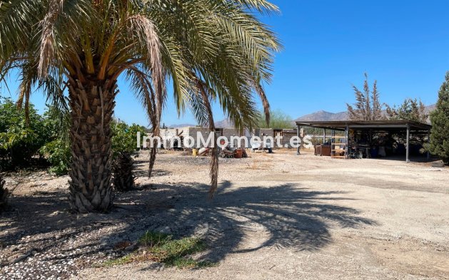 Reventa - Villa - Crevillente - Crevillente - Crevillent Centro