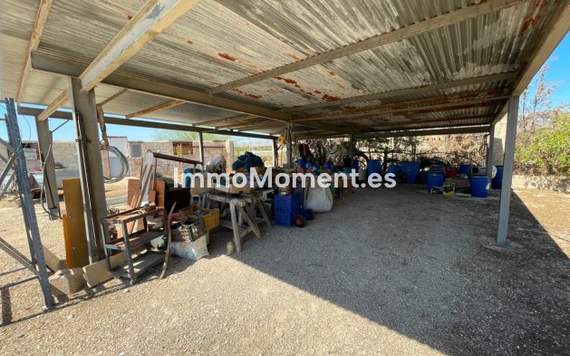 Reventa - Villa - Crevillente - Crevillente - Crevillent Centro