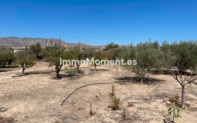 Reventa - Villa - Crevillente - Crevillente - Crevillent Centro