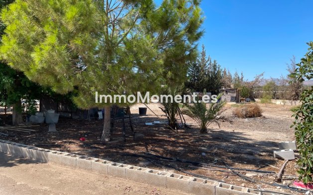 Reventa - Villa - Crevillente - Crevillente - Crevillent Centro