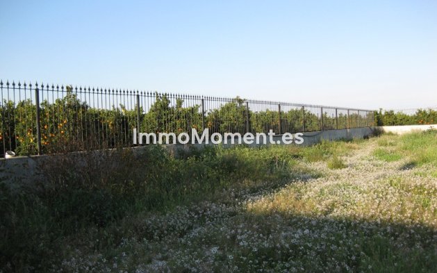 Revente - Maison de campagne - Benferri