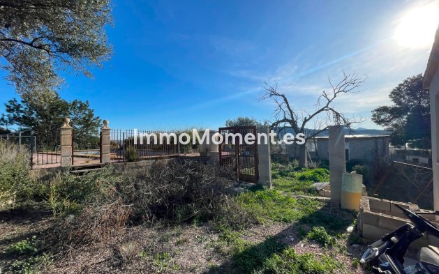 Reventa - Casa de campo - Aspe - Aspe Centro