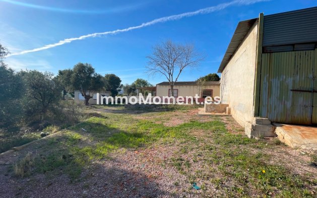 Reventa - Casa de campo - Aspe - Aspe Centro