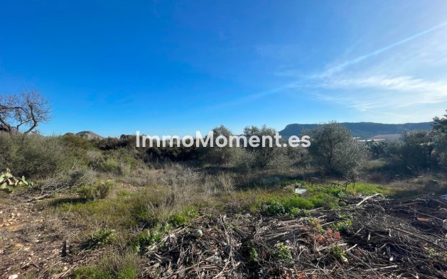 Reventa - Casa de campo - Aspe - Aspe Centro