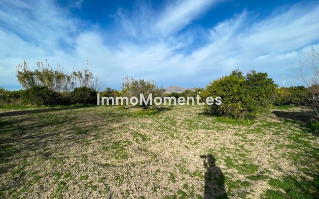 Revente - Villa - Benejúzar - Benejuzar Centro